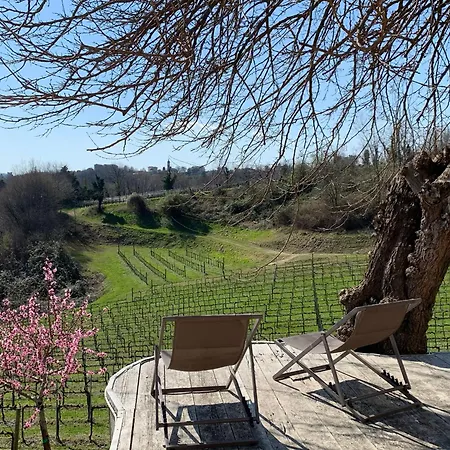 Ca'vittoria - Prosecco Experience - Unesco Guest house Conegliano
