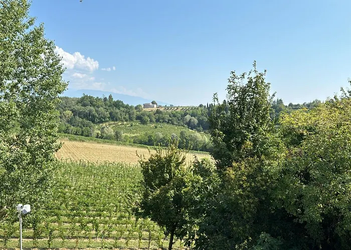 Ca'vittoria - Prosecco Experience - Unesco 3* Conegliano
